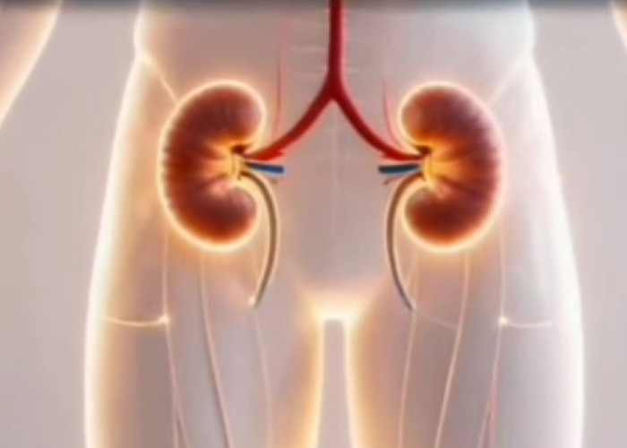 Kenali Gejala Gagal Ginjal, Cegah Komplikasinya