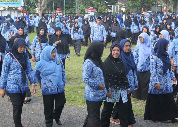 Ini Jawaban BKDPSDM Kepahiang Terkait Seleksi CPNS Tahun 2024, PPPK Tunggu Petunjuk!