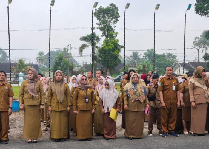 Belanja Pegawai Membengkak, Pemkab Kepahiang Sulit Rekrut CPNS!