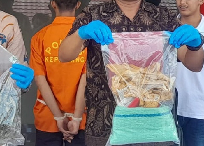 Jatuh Dari Motor, Mahasiswa Terciduk Bawa Ganja