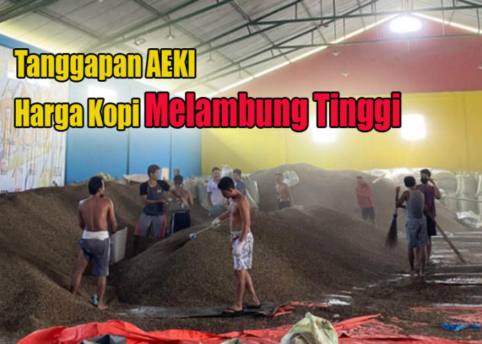 Harga Kopi Melambung Tinggi, Begini Tanggapan Asosiasi Eksportir dan Industri Kopi Indonesia Untuk Petani Kopi