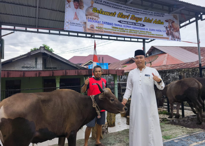 Jumlah Hewan Kurban Menurun, Bupati Kepahiang: Pengorbanan Memajukan Daerah!
