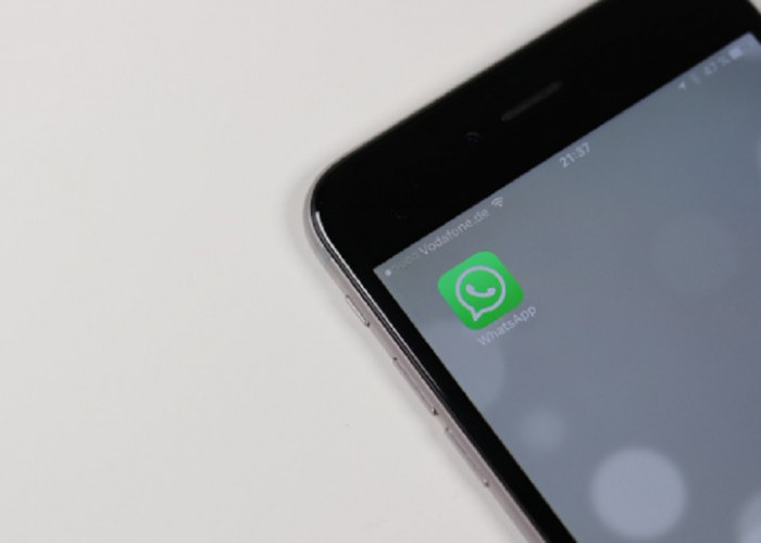 WhatsApp Luncurkan Fitur Baru, Mempermudah Pengguna Melihat Pembaruan Status