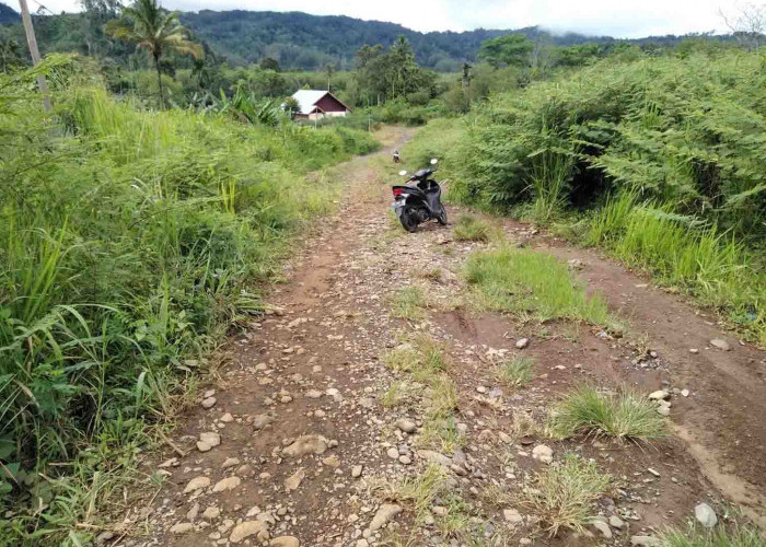 Saran Dewan Soal Terancam Bangunan Terbengkalai 