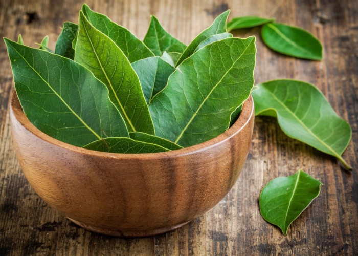 5 Khasiat Ramuan Daun Salam Campur Kayu Manis