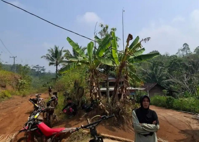 Hidup Terisolasi di Pelosok Muara Kemumu Kepahiang, Warga Jerit Ongkos Ojek Rp3.000/Kg hingga Gas Elpiji Rp65 