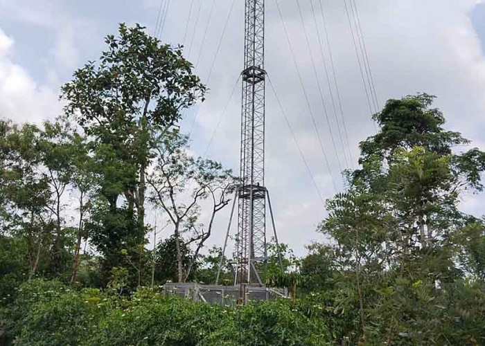 Pemkab Kepahiang Sukses Realisasikan 3 Bantuan Tower BTS di Kabupaten Kepahiang, Ini Lokasinya!