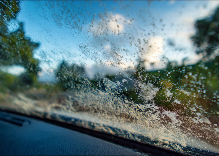 Dijamin Ampuh! Tips Mudah Menyingkirkan Jamur Kaca Mobil 