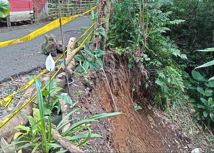 Longsor Lagi di Kepahiang, Jalan di Pasar Sejantung Terancam Putus