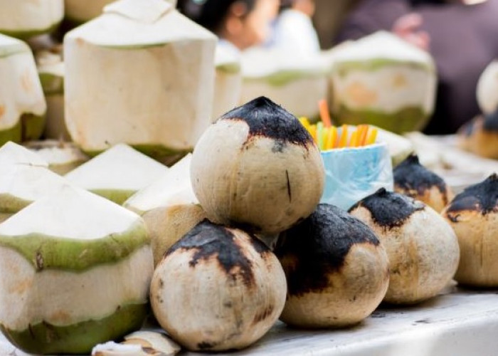 Benarkah Kelapa Hijau Bakar Bisa Jadi Obat, Ini Jawabannya!