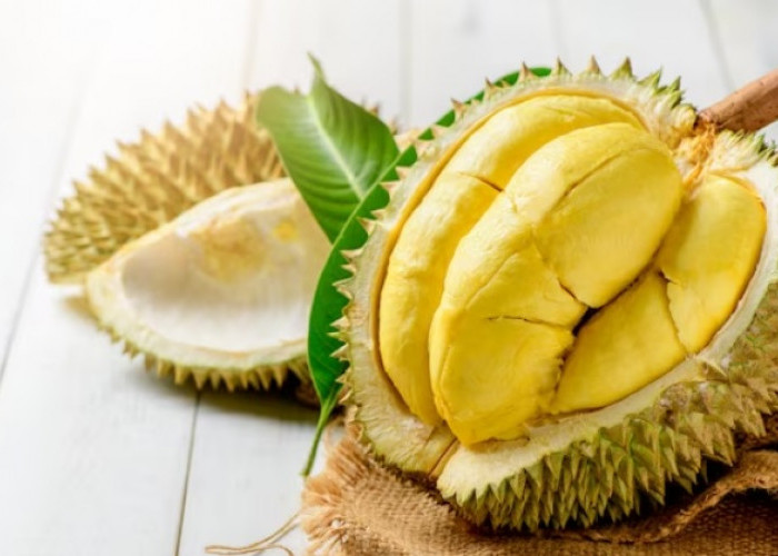 Memang Terkenal Nikmat, Pecinta Duren juga Wajib Memperhatikan Efek Samping Mengkonsumsi Buah Durian