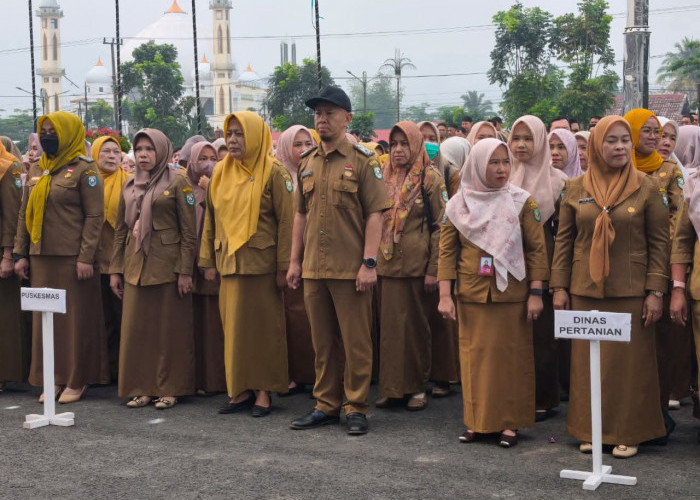 81 ASN Pemkab Kepahiang Pensiun Sepanjang 2026, Sektor Pendidikan Paling Banyak Berkurang