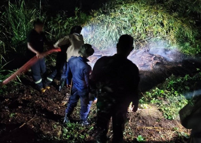 Kebakaran Pabrik Kayu di Bermani Ilir Kepahiang, Nihil Korban Jiwa