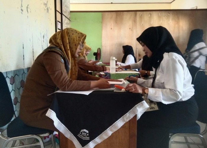 Tak Ikut Pemberkasan NI PPPK, Tenaga Honorer Ajukan Sanggah ke BKDPSDM Kepahiang