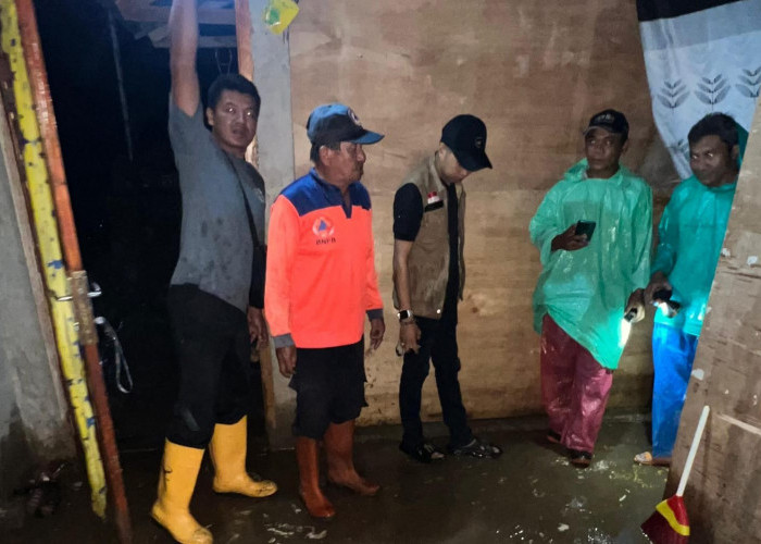 11 Rumah Warga Desa Air Pesi Terdampak Banjir, Termasuk Lahan Sawah dan Kebun Cabai
