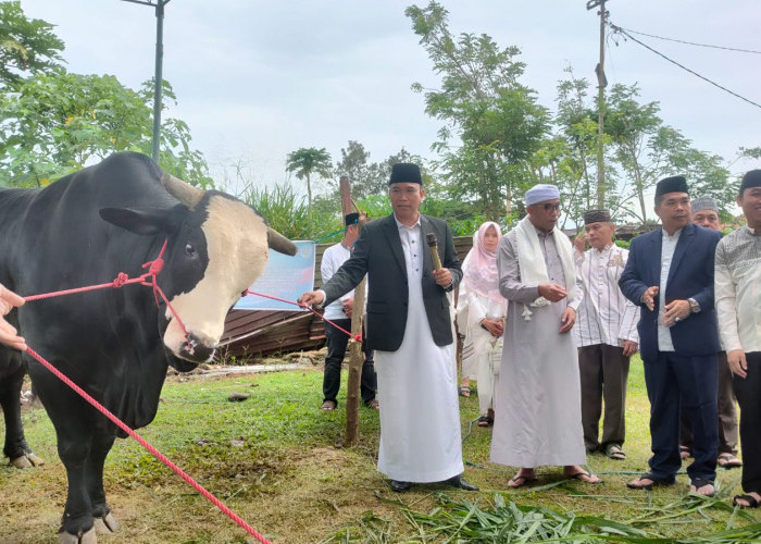 Totalnya 1.321 Ekor, Bupati Kepahiang Apresiasi Peningkatan Jumlah Hewan Kurban Tahun 2025