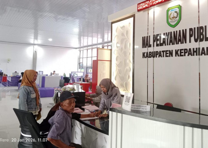 Wajib NIB, DPMPTSP Kepahiang Fasilitasi THL Urus Legalitas Demi Rekrutmen Baru