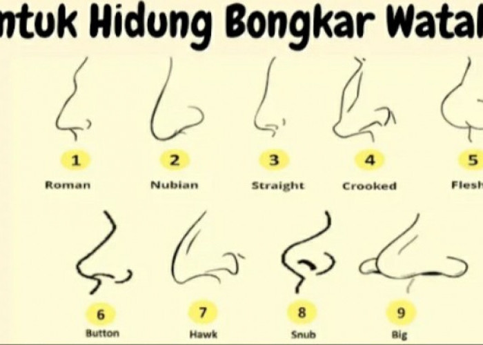 7 Metode Menganalisis Karakter Seseorang Melalui Bentuk Hidung