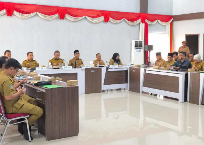 100 Hari Kerja Nata-Hafizh, Rata-rata 80 Persen Program Hampir Rampung