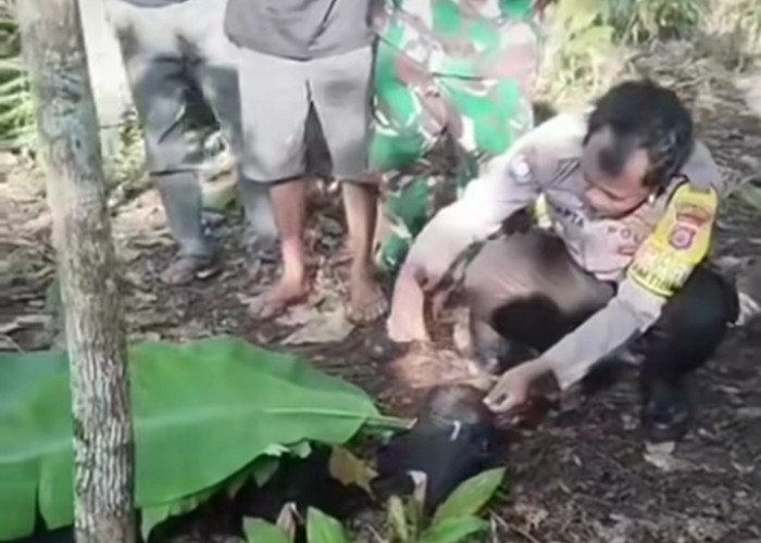 Heboh Dugaan Penculikan Anak di Rejang Lebong, Pria Asal Palembang Meregang Nyawa Diamuk Massa 