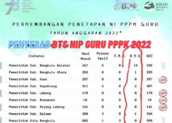 1.640 Usulan NIP PPPK Dikembalikan BKN Palembang, Catat Berikut Ini Penyebab dan Tips Agar Berkas Segera ACC! 