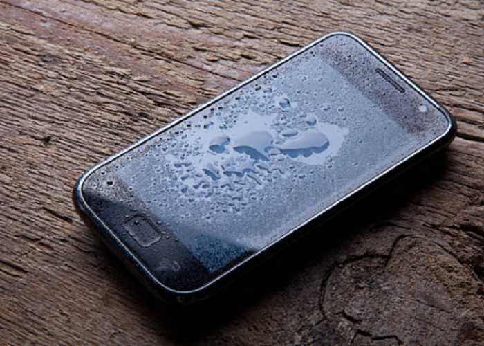 Hp Kecebur Dalam Air, Tenang Selamatkan Gadget Anda Melalui Tips Ampuh Mengatasi Handphone Tercebur Air Ini 