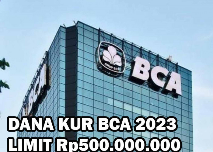 Bisa Sambil Guling di Ranjang, Begini Cara Cairkan Pinjaman Dana KUR BCA 2023 Limit Rp500.000.000