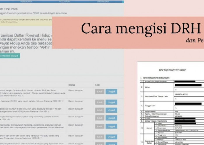 INGAT! Peserta CPNS 2023 Wajib Mengisi DRH Hingga 21 Februari 2024