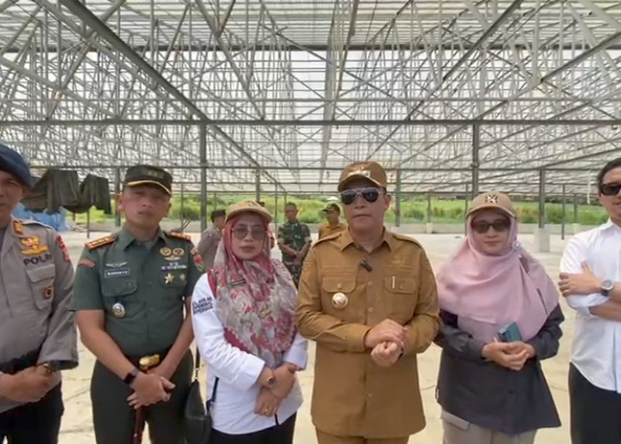 Dimanfaatkan untuk Fasum, Pemkab Kepahiang Tinjau Eks Lahan PT. TUMS