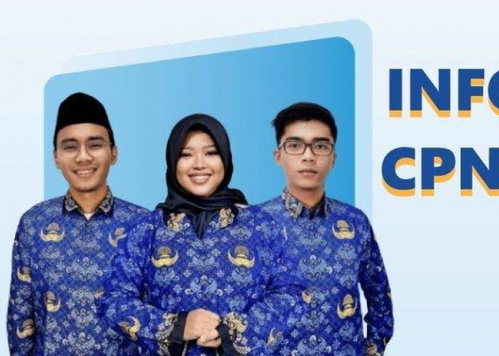 Cek Sekarang, Ini 10 Formasi CPNS 2025 dengan Peluang Lulus Terbesar