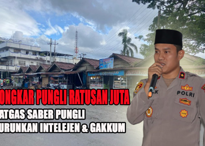 Pungli Ratusan Juta Terbongkar, Satgas Saber Pungli Turunkan Tim Intelejen dan Gakkum