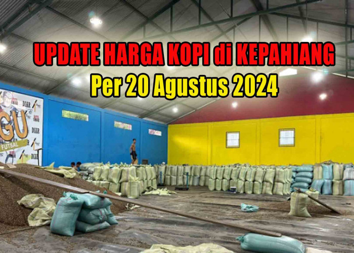 Update Harga Kopi di Kepahiang Hari Ini, Masih Stabil!