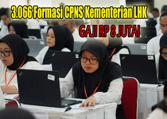 Gaji Sampai Rp 8 Juta, Kini Kementerian LHK Resmi Buka 3.066 Formasi Melalui Seleksi CPNS Tahun 2024