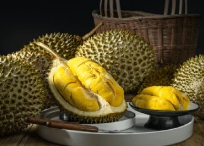 Musim Durian Telah Tiba, Ketahuilah Ini Sederet Manfaat Buah Durian Untuk Kesehatan