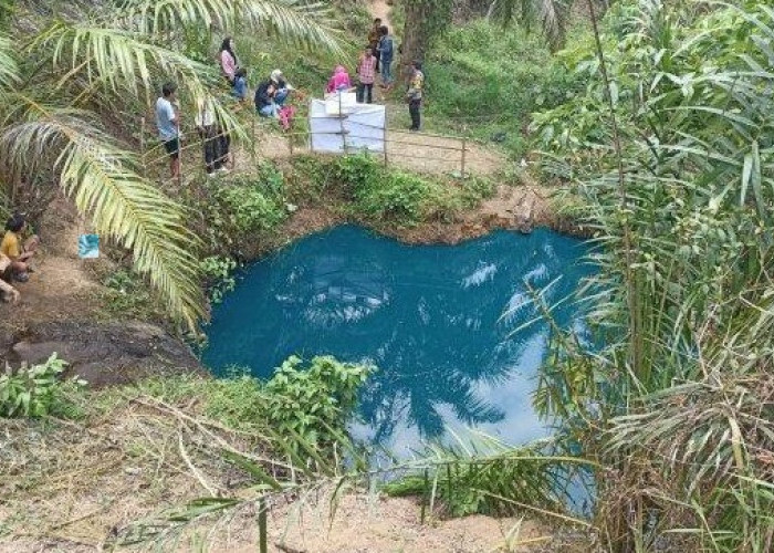 Fenomena Air Berubah Warna, Telaga Biru Muncul di Tengah Hutan Sawit Bengkulu Jadi Destinasi Wisata 
