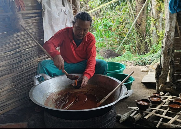 Gula Merah Khas Daspetah Diolah Secara Tradisional 