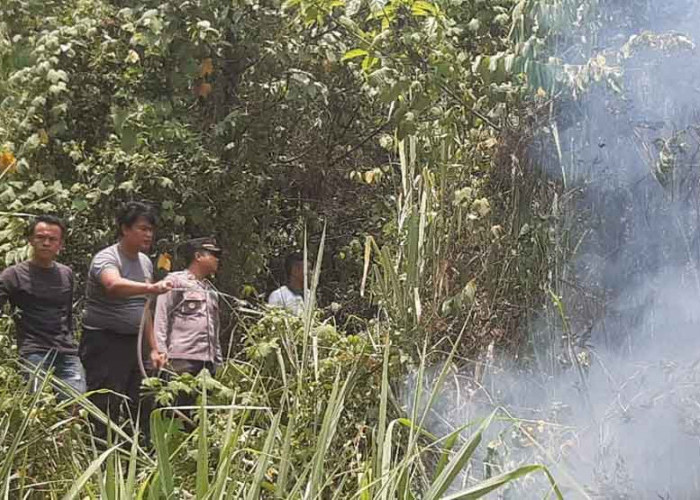 Termasuk 1,3 Hektar Lahan Milik Mantan Bupati Kepahiang, BPBD Catat 10 Kasus Karhutla!