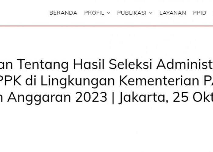 Cek Sekarang, Hasil Seleksi Administrasi PPPK 2023 KemenPAN RB Telah Diumumkan!