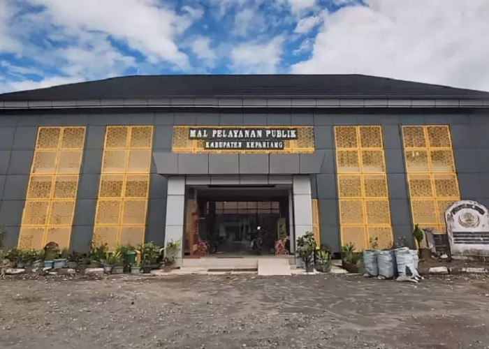 Pentingnya NIB Bagi Pelaku Usaha, Triwulan I TA 2026 SUdah 3.666 Diterbitkan DPMPTSP!