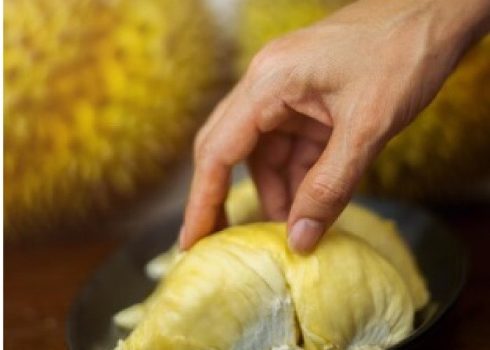 Mengapa Perut Terasa Begah Setelah Mengkonsumsi Durian, Berikut Penjelasan dan Tips Mengatasi!