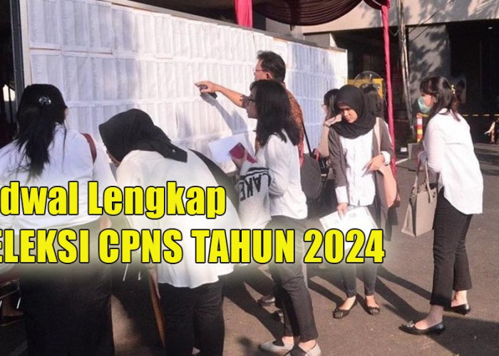 Seleksi CPNS Tahun 2024 Dimulai, Ingat Peserta Hanya Boleh Pilih 1 Instansi dan Jabatan, Cek Jadwal Lengkapnya