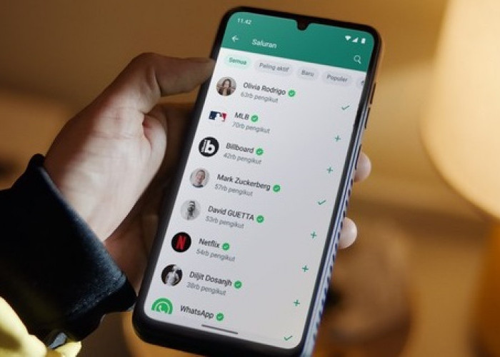 Nyesal Pakai Fitur Terbaru WhatsApp, Begini Cara Mengembalikan WhatsApp Tanpa Saluran