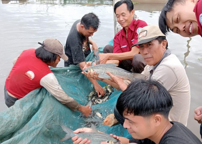 Penghujung 2024, Target PAD BBI DKPP Kepahiang Baru Tercapai 50 Persen