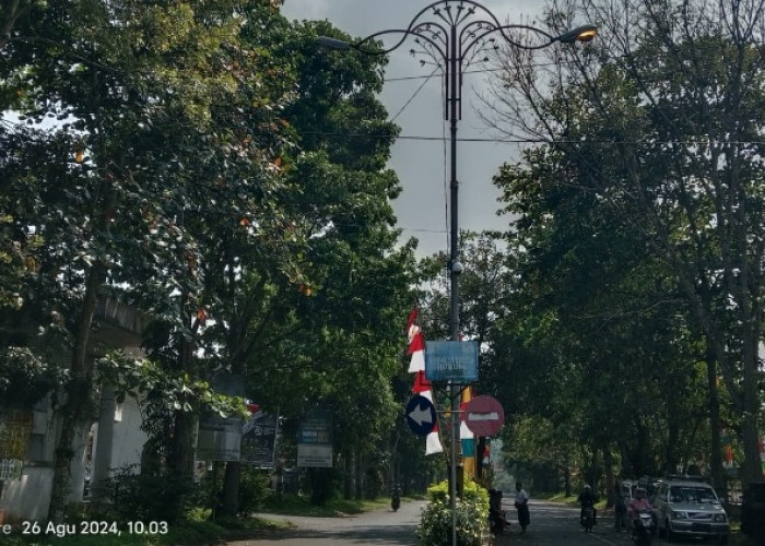 Soal Lampu Jalan Dinas Perhubungan Beralih Gunakan LPJU Tenaga Surya, Lebih Hemat Biaya! 