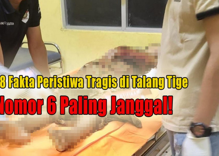 Masih Belum Terungkap, Ini 18 Fakta Menarik Peristiwa Tragis di Talang Tige, Nomor 6 Paling Janggal!