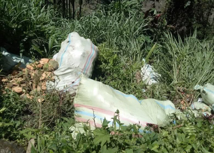 Warga Dusun Kepahiang Geram Belakang Rumahnya Jadi Pembuangan Sampah Kulit Kelapa