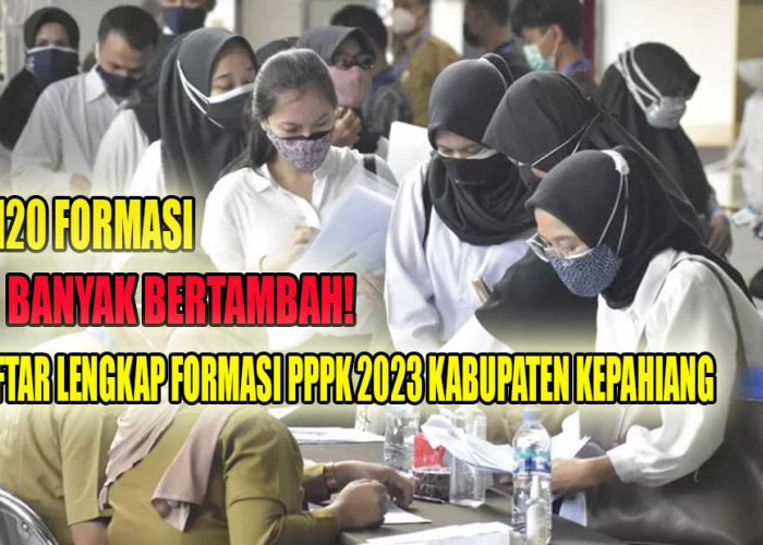 Bertambah Banyak, Kabupaten Kepahiang Siapkan 1.120 Formasi Guru PPPK dan PPPK Tenaga Kesehatan, Ini Rincianny