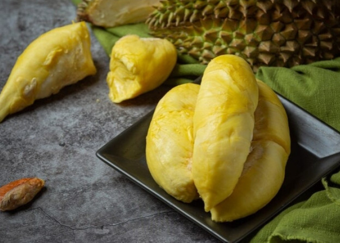 Banyak Tidak Disukai Kaum Hawa, Ternyata Buah Durian Bisa Jadi Obat Herbal Penyembuh Kanker