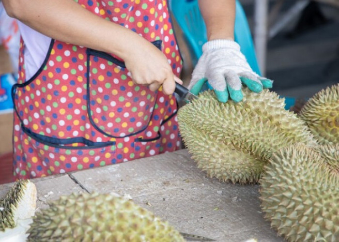 Bisakah Mengecek Kematangan Buah Durian Hanya Dengan Cara Mengetuk, Ini Faktanya!