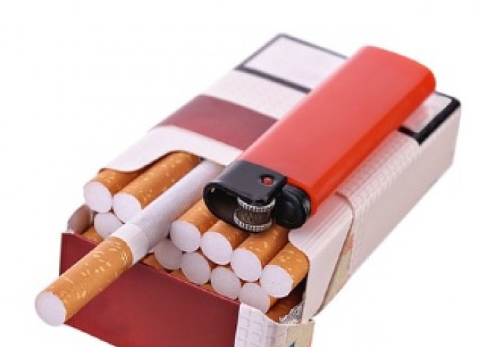Perokok Harus Tau Rokok Ilegal Ternyata Lebih Berbahaya, Simak Penjelasan Bea Cukai Berikut Ini!  